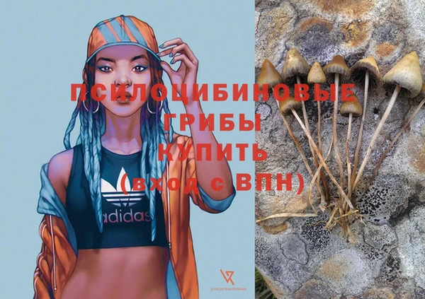 ГАЛЛЮЦИНОГЕННЫЕ ГРИБЫ Абинск